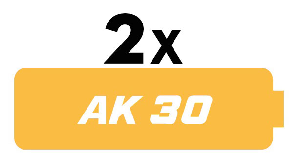 2 sztuki akumulatora AL 30